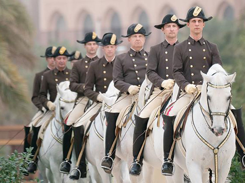 اضغط لمشاهدة الصور: الخيول الإسبانية تبهر الجمهور الإماراتي في أول عروضها في الشرق الأوسط